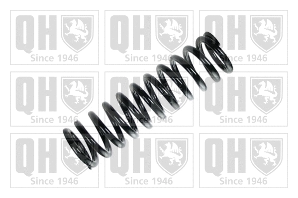 Suspension Spring (QCS5234)