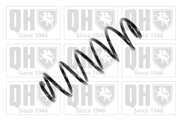 Suspension Spring (QCS5466)