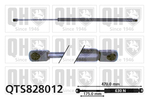 Gas Spring, boot/cargo area (QTS828012)