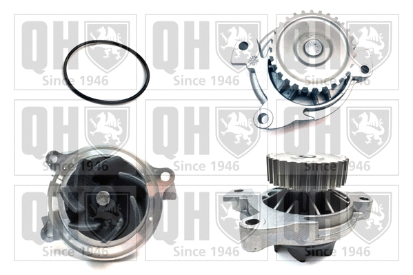 Water Pump, engine cooling (QCP3093)