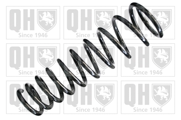 Suspension Spring (QCS6924)