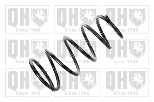 Suspension Spring (QCS7341)