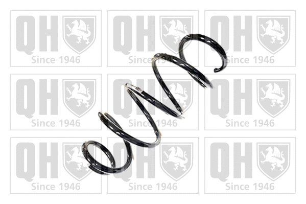 Suspension Spring (QCS8868)