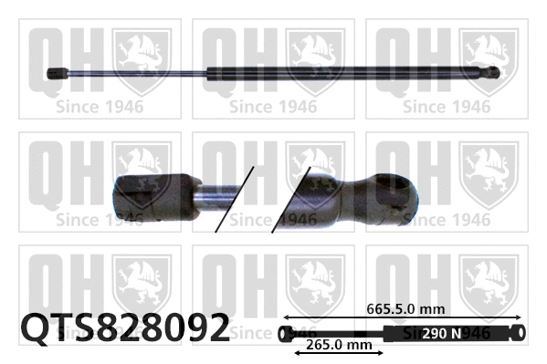 Gas Spring, boot/cargo area (QTS828092)