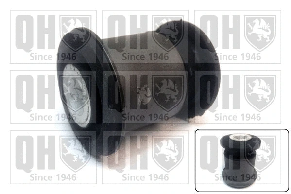 Mounting, control/trailing arm (EMS8383)