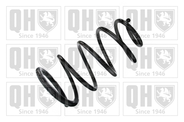 Suspension Spring (QCS5837)