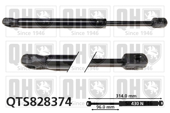 Gas Spring, bonnet (QTS828374)