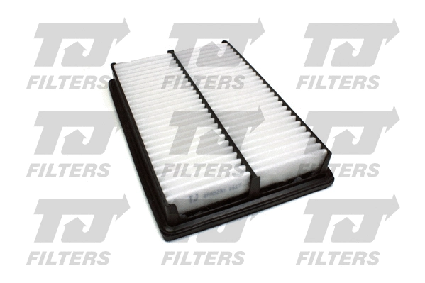 Air Filter (QFA0290)