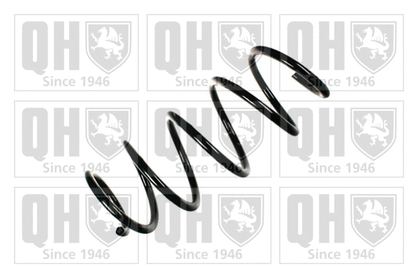 Suspension Spring (QCS6410)