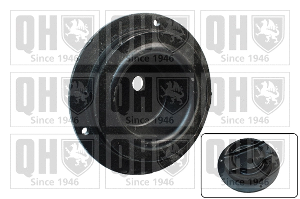 Suspension Strut Support Mount (EMR2015)