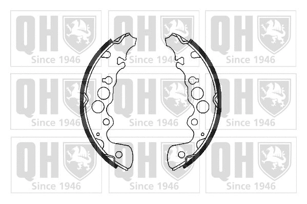 Brake Shoe Set (BS1050)