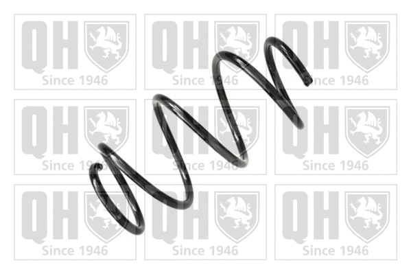 Suspension Spring (QCS6563)