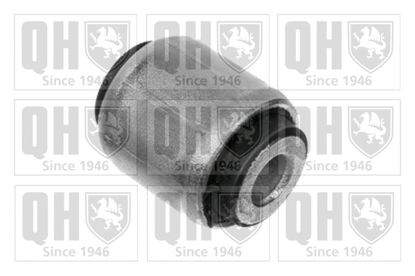 Mounting, control/trailing arm (EMS8409)