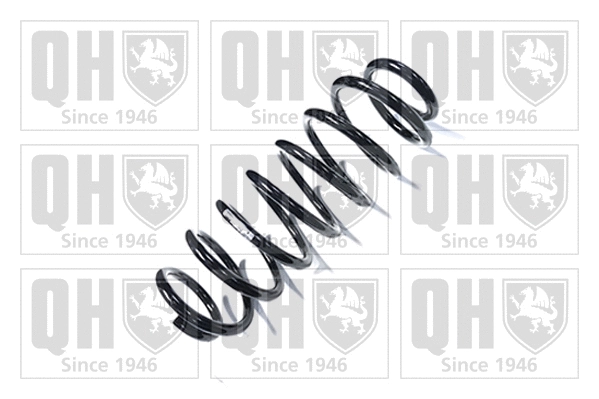 Suspension Spring (QCS7662)