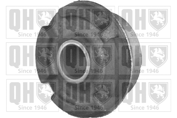 Mounting, control/trailing arm (EMS8170)