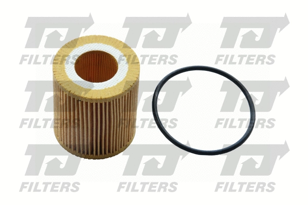 Oil Filter (QFL0313)