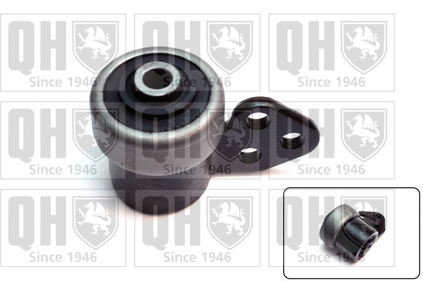 Mounting, control/trailing arm (EMS8078)