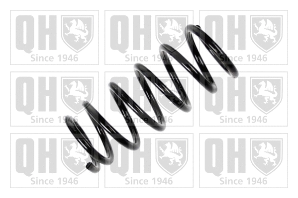 Suspension Spring (QCS7122)