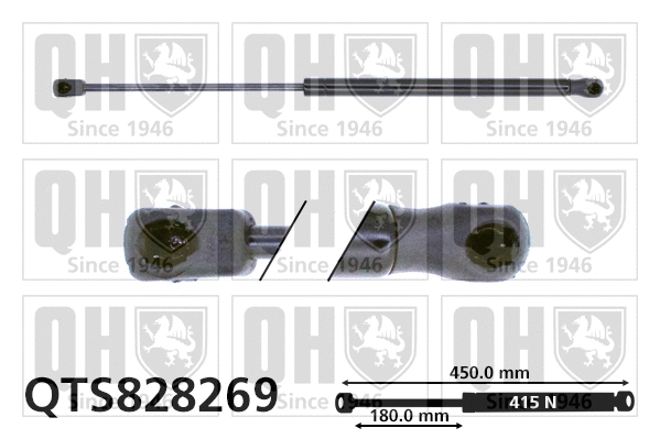 Gas Spring, boot/cargo area (QTS828269)