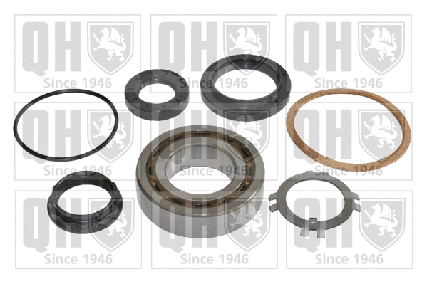 Wheel Bearing Kit (QWB632)