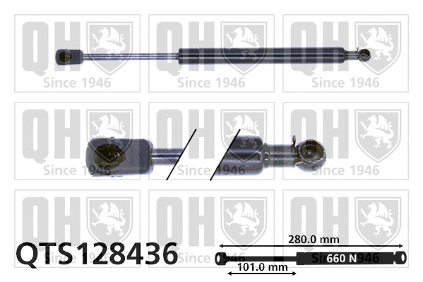 Gas Spring, boot/cargo area (QTS128436)