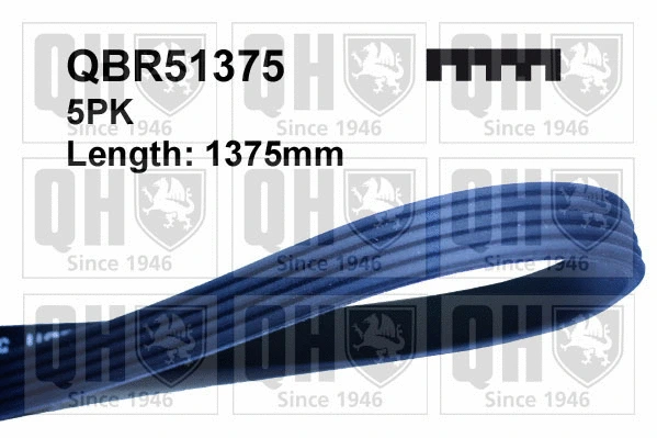V-Ribbed Belt (QBR51375)