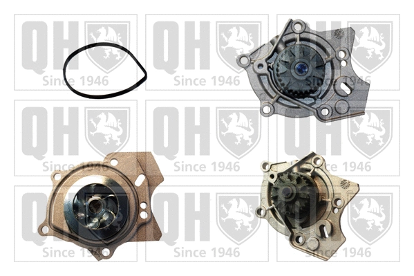 Water Pump, engine cooling (QCP3761)