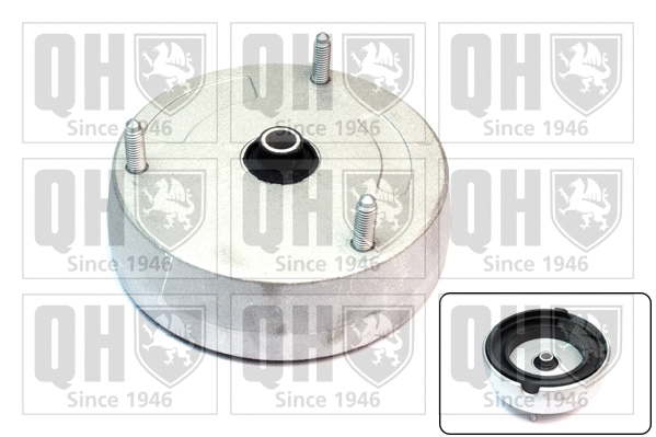 Repair Kit, suspension strut support mount (EMA6148)
