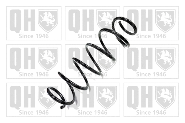Suspension Spring (QCS9003)