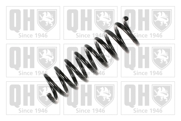 Suspension Spring (QCS5855)