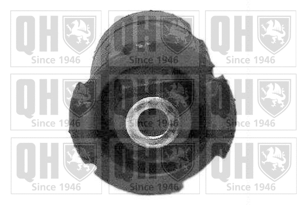 Mounting, control/trailing arm (EMS2469)