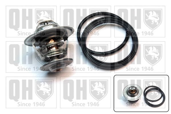 Thermostat, coolant (QTH481K)