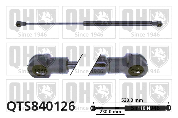Gas Spring, rear window (QTS840126)