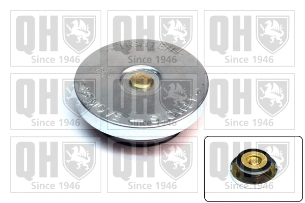 Cap, radiator (FC42B)