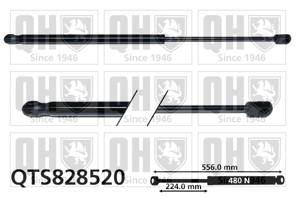 Gas Spring, boot/cargo area (QTS828520)