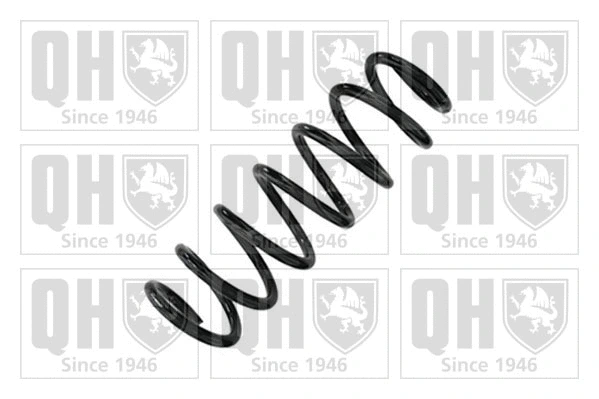 Suspension Spring (QCS9207)