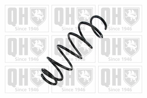 Suspension Spring (QCS8883)
