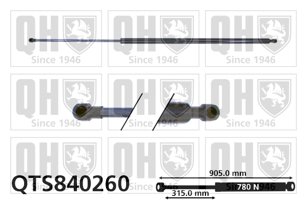 Gas Spring, boot/cargo area (QTS840260)