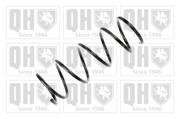 Suspension Spring (QCS5489)