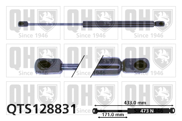 Gas Spring, bonnet (QTS128831)