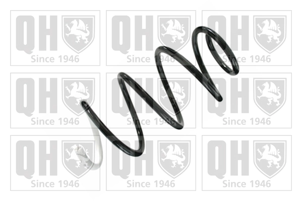 Suspension Spring (QCS8559)