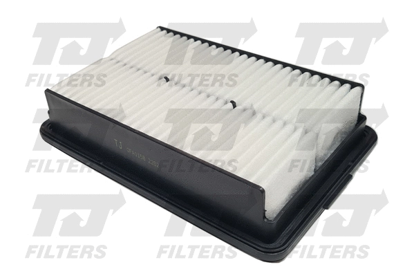 Air Filter (QFA1158)