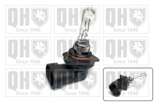 Bulb (QBL9012)