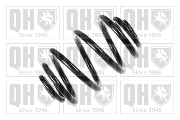 Suspension Spring (QCS6217)