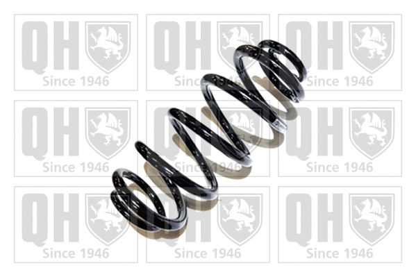 Suspension Spring (QCS5231)