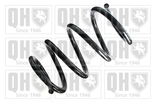 Suspension Spring (QCS8310)