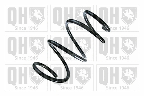 Suspension Spring (QCS8744)