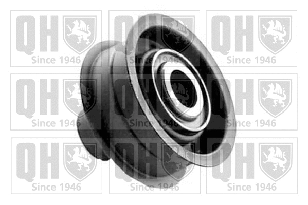 Tensioner Pulley, timing belt (QTT165)