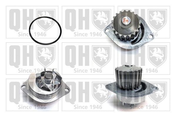 Water Pump, engine cooling (QCP3327)