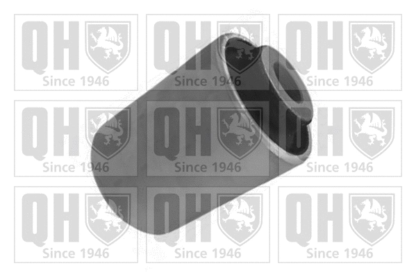 Mounting, control/trailing arm (EMS8528)